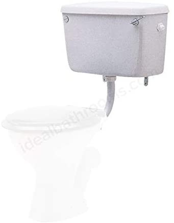 TWY CX9561XX Concealed Cist S/F BSIO 6LTR with LVR Simple Product