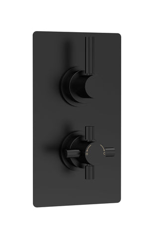 Hudson Reed Twin Thermostatic Shower Valve