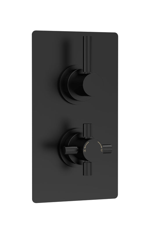 Hudson Reed Twin Thermostatic Shower Valve With Diverter
