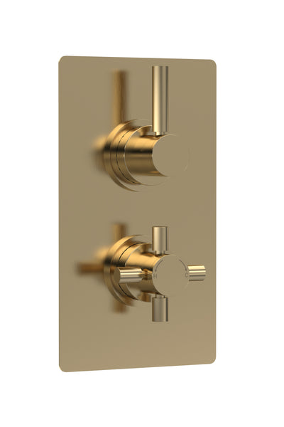 Hudson Reed Twin Thermostatic Shower Valve