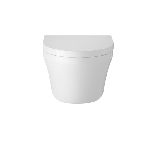 Hudson Reed Wall Hung Pan & Seat