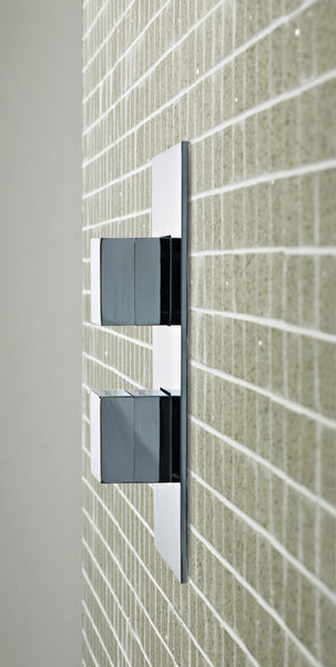 Hudson Reed Twin Thermostatic Shower Valve