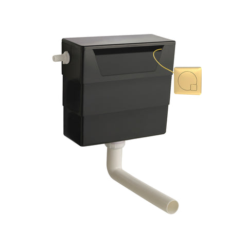 NUIE Universal Access Cistern & Brushed Brass Square Flush Plate