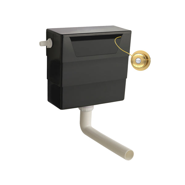 Hudson Reed Universal Access Cistern & Brushed Brass Traditional Flush Plate