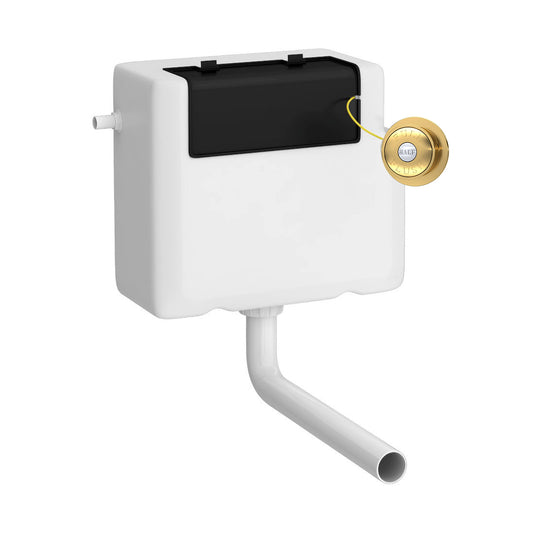 Hudson Reed Universal Access Cistern & Brushed Brass Traditional Flush Plate