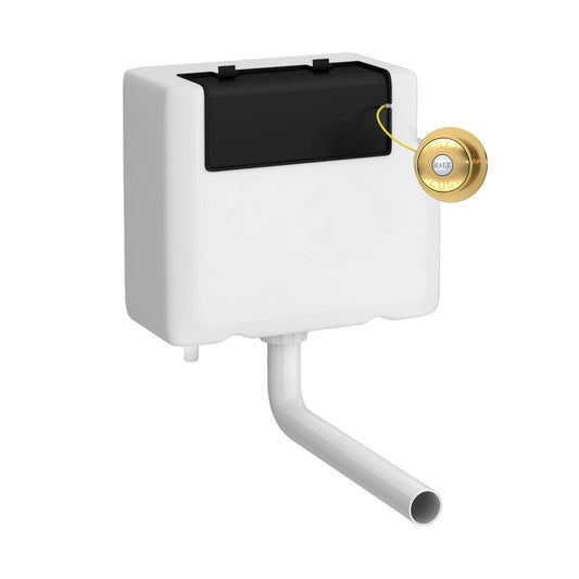 Hudson Reed Universal Access Cistern & Brushed Brass Traditional Flush Plate