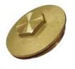 ARLEY Immersion HTR Plug 2.1/4IN(NO Washer) Z001