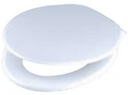 Celmac STA11WH Tamar Value Plastic Seat and Cover, Plastic Hinge, White