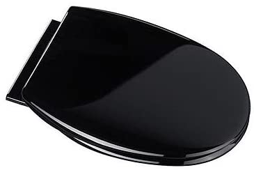Croydex Hygiene-n-Clean Anti-Bacterial Polypropylene Toilet Seat/Slow Close Hinge, Black