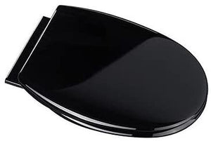 Croydex Hygiene-n-Clean Anti-Bacterial Polypropylene Toilet Seat/Slow Close Hinge, Black