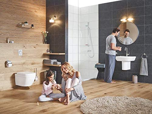 GROHE Essentials Toilet Brush Holder Silver