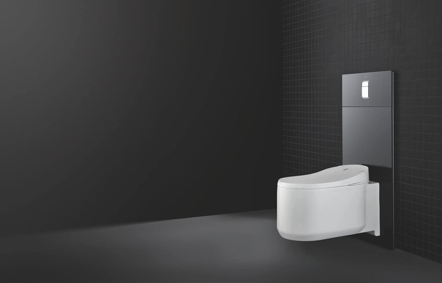 Grohe Skate Cosmopolitan WCåʉÛÒåÊDesigner Glass Plate for Shower Toilet