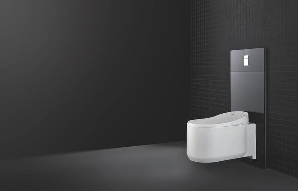 Grohe Skate Cosmopolitan WCåʉÛÒåÊDesigner Glass Plate for Shower Toilet
