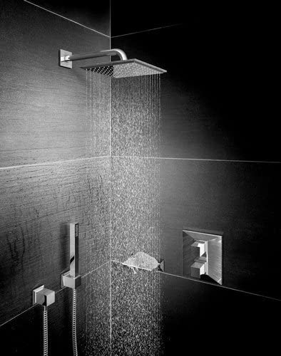 Grohe 27884001 Euphoria Cube Hand-Held Shower Head Metal