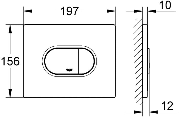 GROHE 38858000 | Arena Cosmopolitan WC Wall Plate