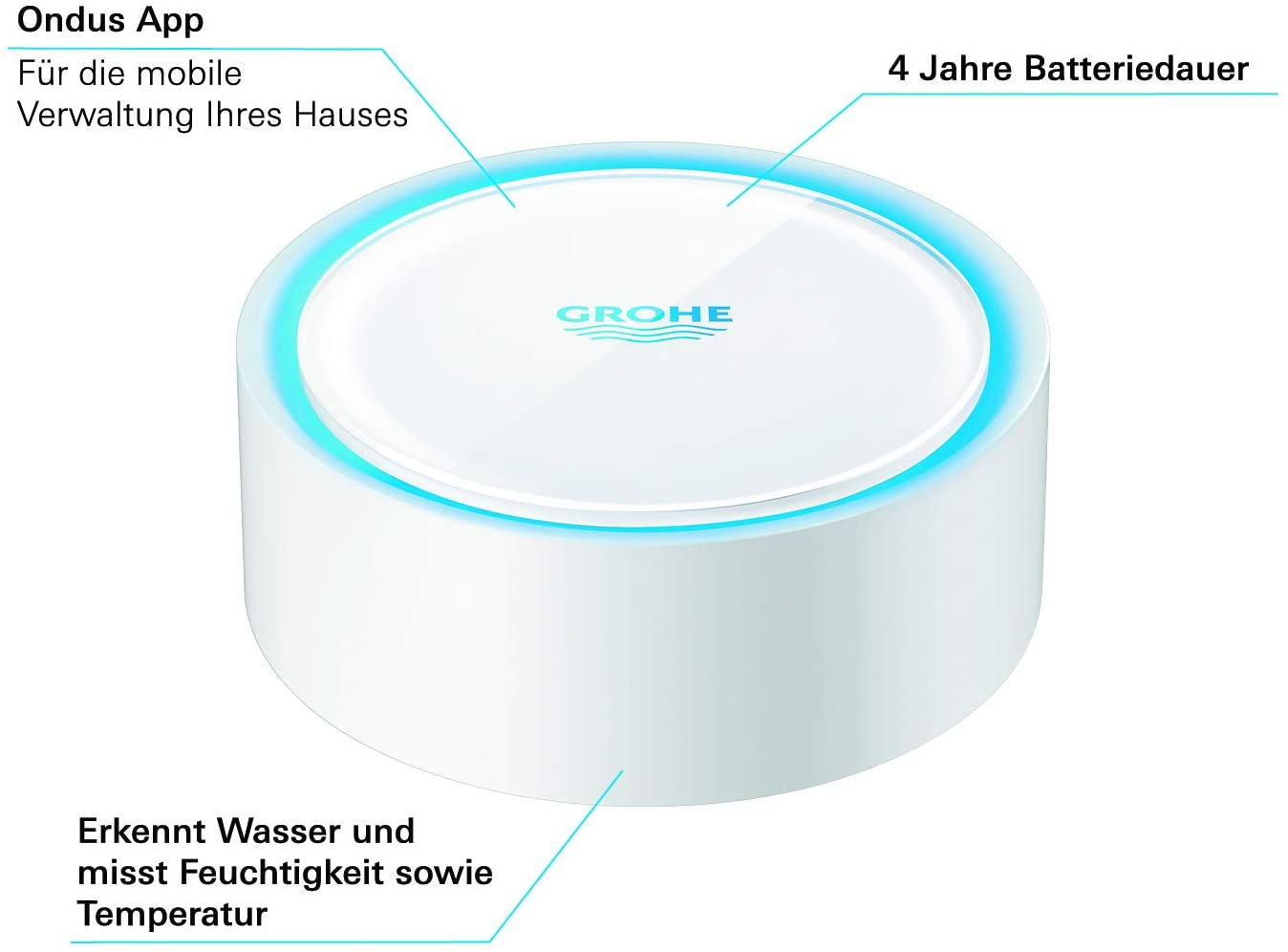 GROHE 22505LN0 | SENSE | Detects Water, Temperature, Humidity and Frost