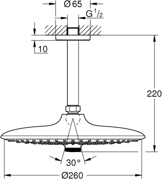 Grohe Euphoria 260åÊShower Head, 26455000.