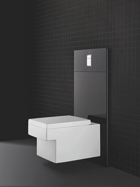 Grohe Skate Cosmopolitan WCåʉÛÒåÊDesigner Glass Plate for Shower Toilet