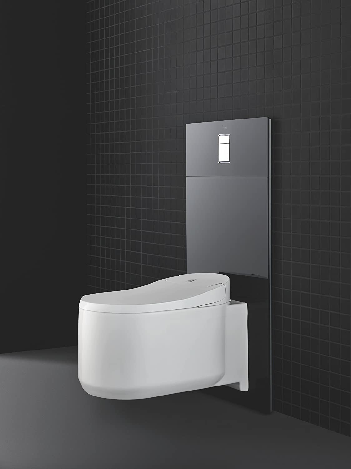 Grohe Skate Cosmopolitan WCåʉÛÒåÊDesigner Glass Plate for Shower Toilet