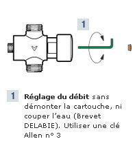 Delabie Tempostop 3/4" Exposed Shower Valve, 749000 (Product Code: 06140061)